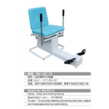 Ankle Joint training Device