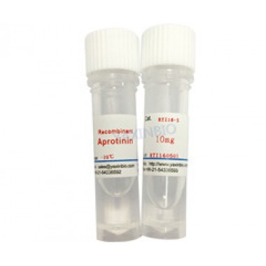 Recombinant trypsin inhibitor/Recombinant aprotinin