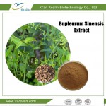 Bupleurum Falcatum Extract Powder Chinese Thorowax Root Extract 