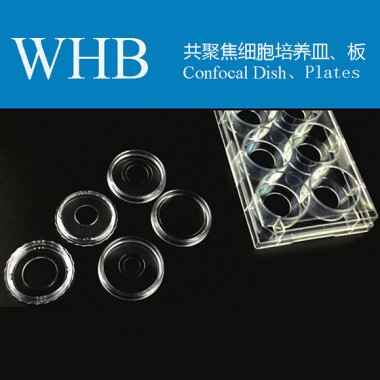 Glass Bottom Cell Culture Dish / Plate