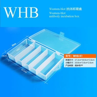 Plastic Western-Blot Antibody Incubation Box