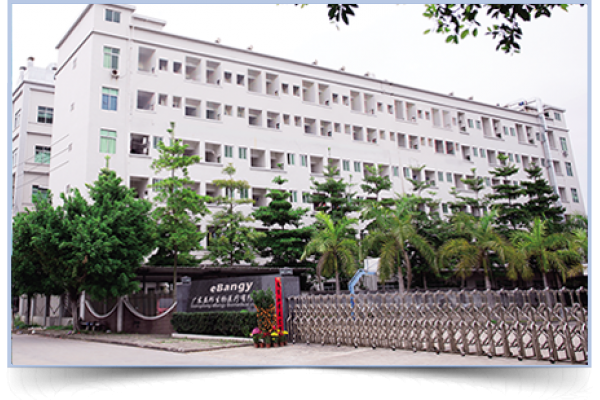 Guangdong eBangy Biomedical Co.,Ltd.