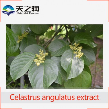 Celangulin, Celastrus angulatus extract