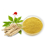 Hot Sale 100% Natural Ginseng Extract