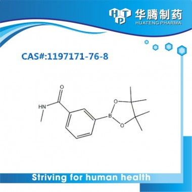 3-(N-Methylaminocarbonyl)phenylboronic acid,pinacol ester CAS#1197171-76-8