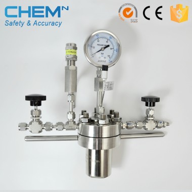 Stainless steel chemical synthesis high pressure reactor
