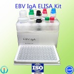 CE certification Epstein Barr virus Elisa Test Kit/EBV Elisa Test