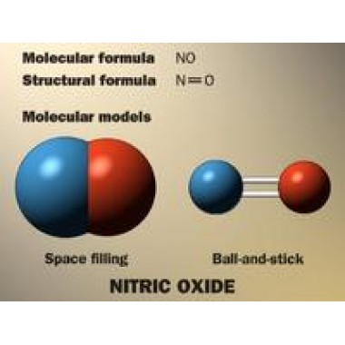 Nitric oxide standard gas