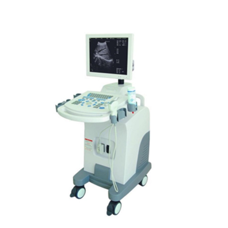 Medical Pregnancy Ecography Ultrasound Scanner Machine Henan Forever