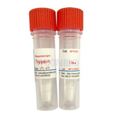 sequencing grade trypsin
