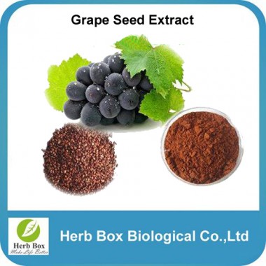 Grape Seed Extract OPC95% 98% polyphenols
