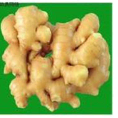 Ginger extract