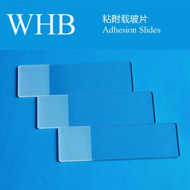 Colorful Adhesion Slides