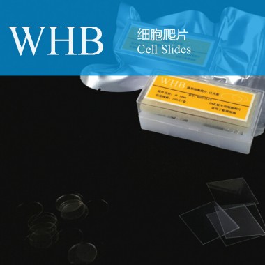 Wholesale Tc Treatment Cell Glass Slides