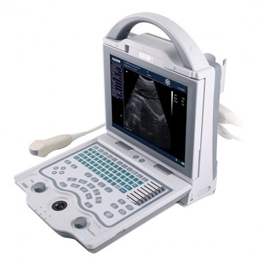 DP5600 Pregnant use 10.4 ultrasound machine