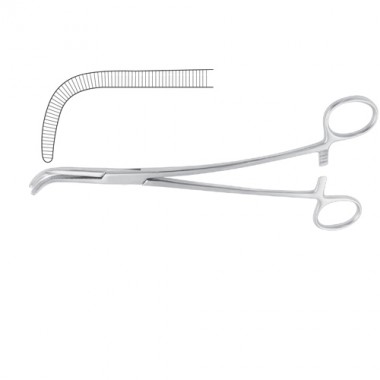 Gray Dissecting and Ligature Forcep
