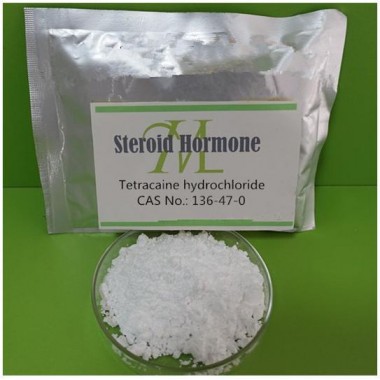 99% purity of Pain Killer Powder Tetracaine HCl 136-47-0