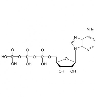 Adenosine 5'-triphosphate (ATP-H, CAS 56-65-5)