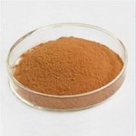 100% natural organic horse chestnut seed extract powder aescin escin