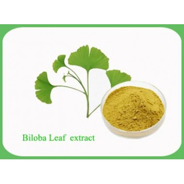 Biloba Leaf Extract