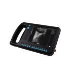 WED-3000V Veterinary Ultrasound Scanner