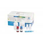 SpermFunc® Histone - Kit for Determination of the Maturity of Spermatozoan Nucleoprotein