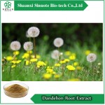 Factory Price Supply Pure Natural Dandelion Root Extract