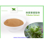 Tribulus extract,Tribulus Terrestris Extract,Saponins
