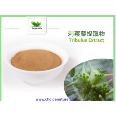 Tribulus extract,Tribulus Terrestris Extract,Saponins