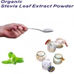 organic stevia leaf extract powder