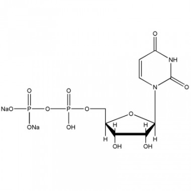 Uridine 5'-diphosphate disodium salt (UDP-Na2, CAS 27821-45-0)