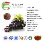 Organic Grape Seed Extract,Natural Grape Seed Extract Powder,Grape Seed Extract Proanthocyanidin
