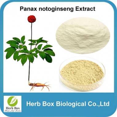 Panax Notoginseng Root Extract Notoginsenosides