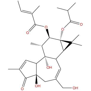 12-O-Tiglylphorbol-13 -isobutyrate