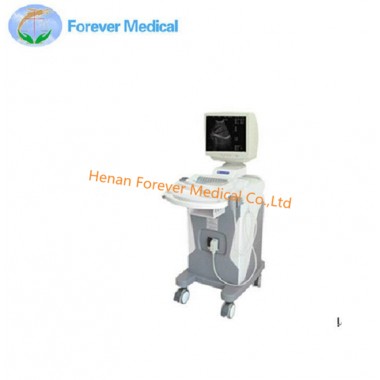 Full-Digital Trolley Ultrasound Scanner Echographie Hospital Equipment