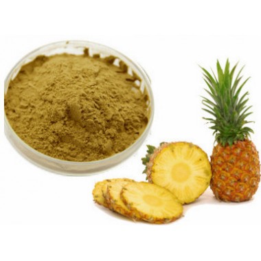 Natural Pineapple Extract Powder Fruit Extracts