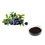 Natural Bilberry Extract Powder Anthocyanidin 15% 25%
