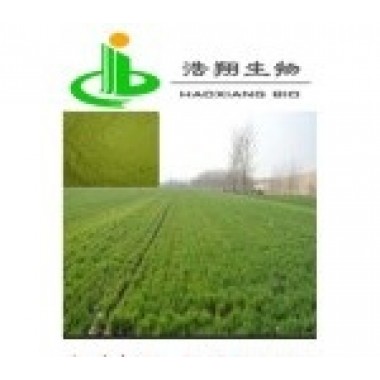 Wheat sprout extract