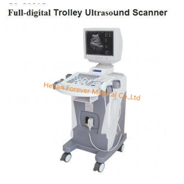 Professional Trolley Ultrasound Scanner Machine Black and White System Yj-350t