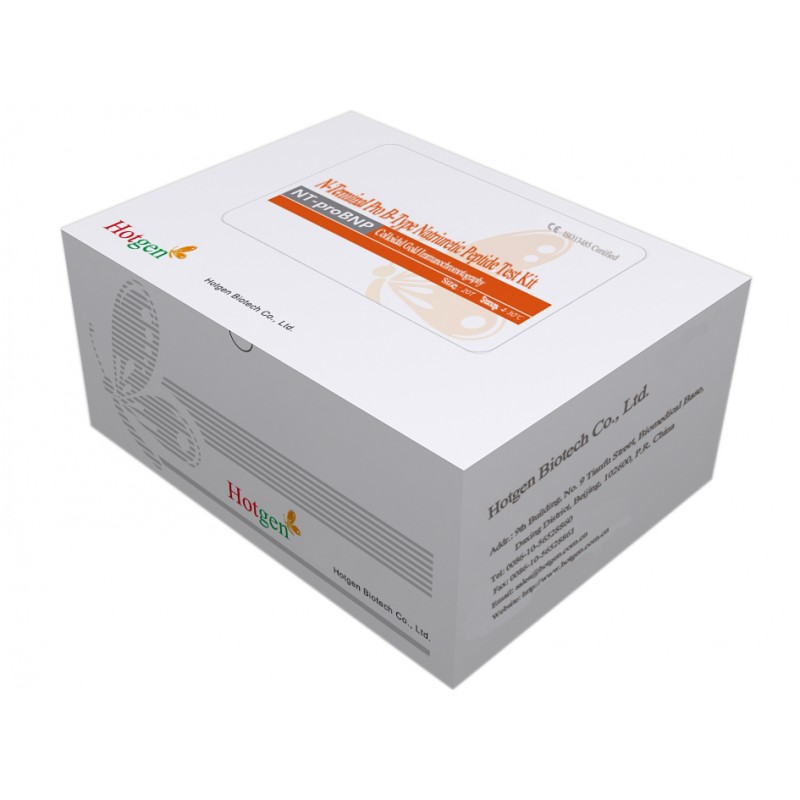 Hotgen NT-proBNP Test Cassette- Beijing Hotgen Biotech Co.,Ltd.