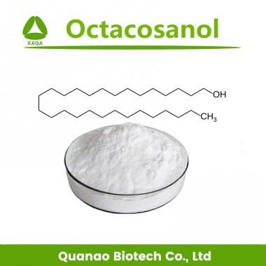 Rice Bran Wax Extract Octacosanol 90% Policosanol 99% powder