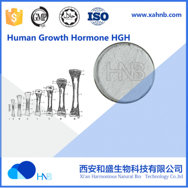 GMP Manufactory supply 10iu/Vial somatropin frag hgh / human growth hormone 176-191