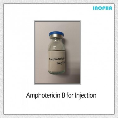 Amphotericin B for Injection 5mg/25mg/50mg
