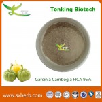 High Quality Weight Loss Garcinia Cambogia Extract HCA