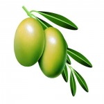 Olive Leaf Extract 20% Oleuropein