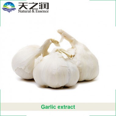 Allicin, garlic extract