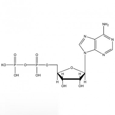 Adenosine 5'-diphosphate monopotassium salt (ADP-K, CAS No.72696-48-1)