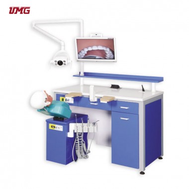Hot sale dental simulation model dental simulator education