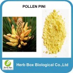 Pollen Pini Powder