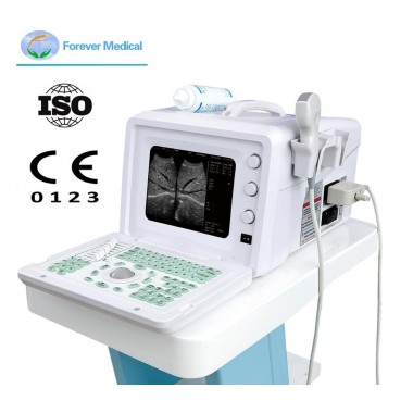 Mobile Veterinary Portable B/W Ultrasound/USG Scanner Yj-U3101A